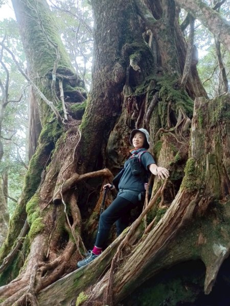 魔幻森林-塔曼山-202508102866565