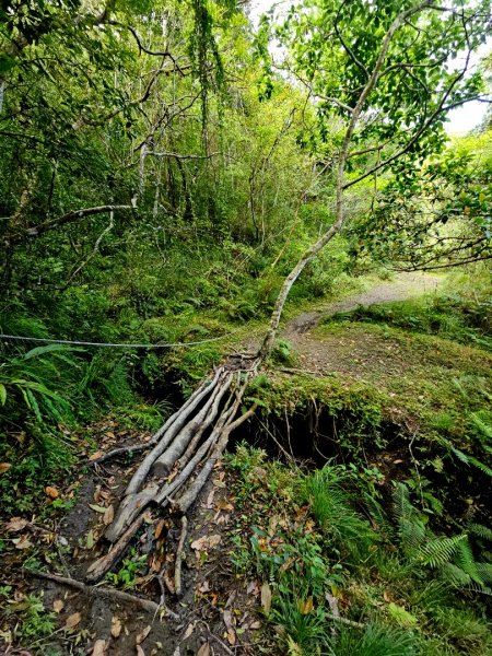 八里灣山-小百岳#91-花蓮縣豐濱鄉3019229