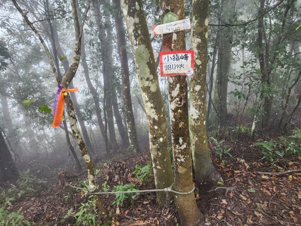 20241208上坪登五指山2683667