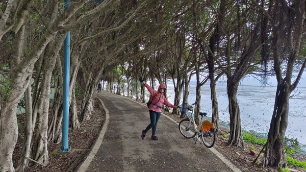(姨婆趴趴走)第三十五集:新竹17公里海岸線自行車道騎乘自行車之旅2390931