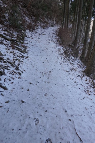 熊野古道小邊路.熊野三山2485465