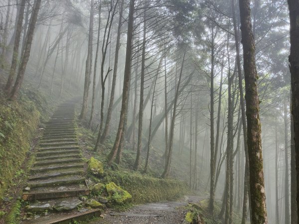 神木園步道2371871