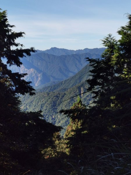 台灣山毛櫸步道-夏日碧綠盎然佐壯觀山巒1039599