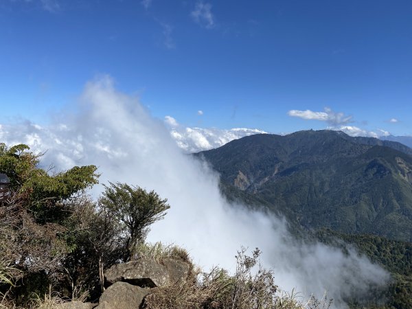 苗栗-加里山 杜鵑嶺869150