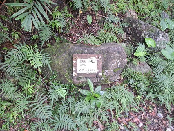 小百岳集起來立霧山登山步道，初音山步道3113462