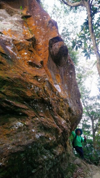 四分子古道、月扇湖山大岩壁O走1291832