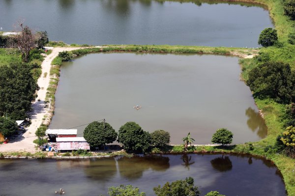 HK - 鐵坑，蛇嶺1268062