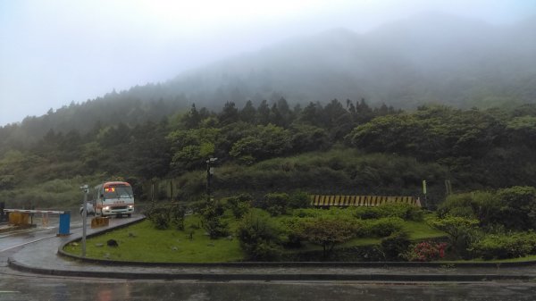 【臺北大縱走3】擎天崗、冷擎步道、冷水坑封面