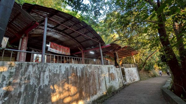 十八尖山步道3056559