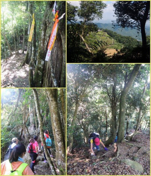 獅潭仙山步道444241