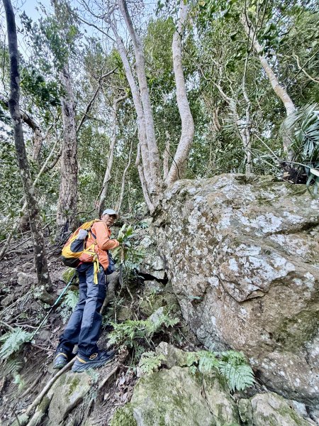 苗栗冷門山--蕃婆石山5基石連登   2026.01.112981370