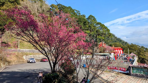 貓貍山.協雲宮,青青草原2701157