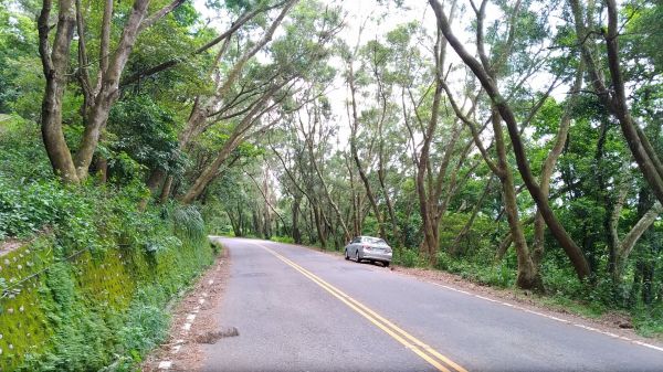 橫山十八彎古道153070