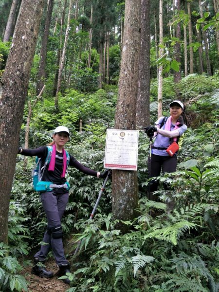 光天高山、向天湖山、三角湖山O型縱走359719