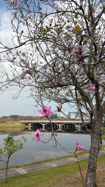 🚴‍♂️ 台南單車慢漫遊3003311