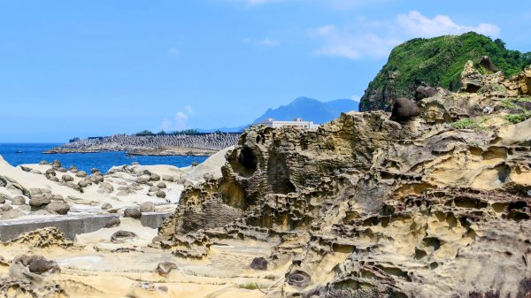和平島(含阿拉寶灣)2821355