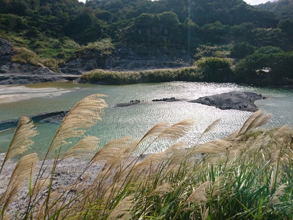 龍鳳谷-硫磺谷-地熱谷774532