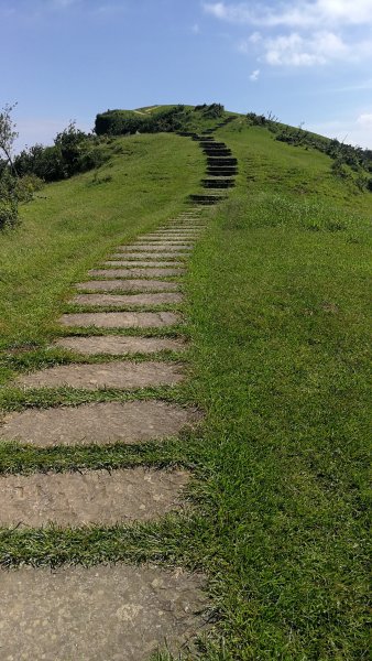 20190714桃源谷步道655090