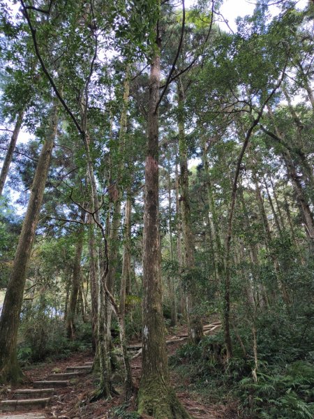 2023.12.27 東眼山2838852