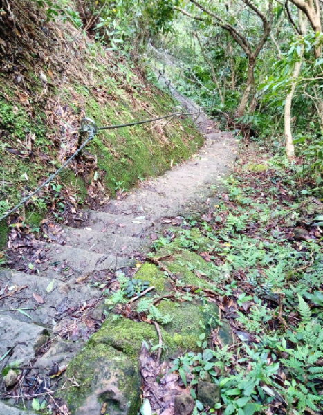 20180713 孝子山 ．慈母峰．普陀山365457