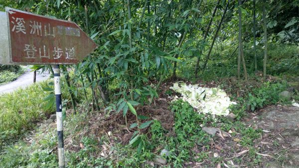 新溪洲山之樂400354