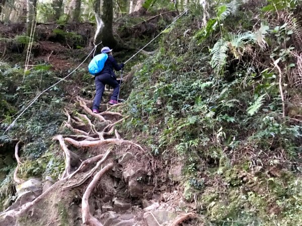 自忠上東水山連走特富野古道1244570