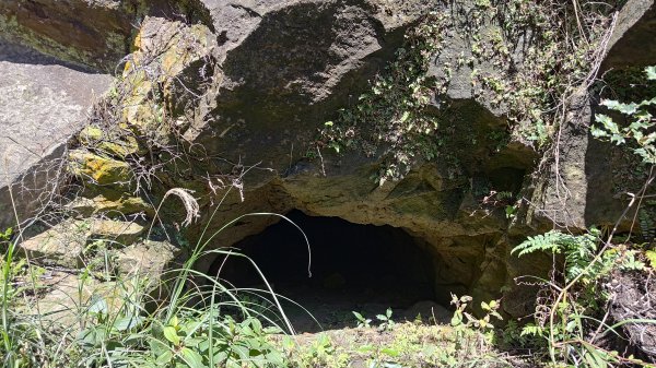 瑞芳小錐麓2714459