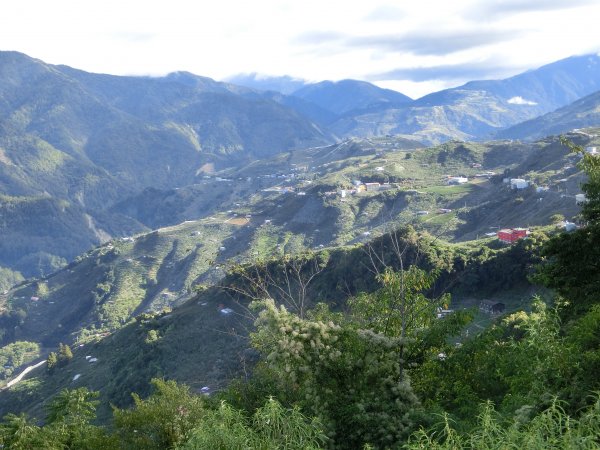 梨山．南山．望龍埤415549