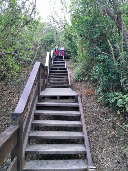 屏東百大：龜山步道1343859