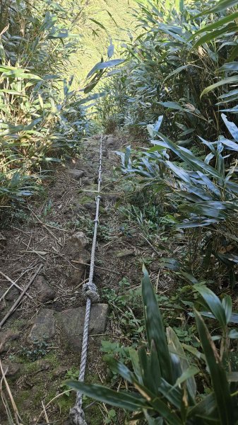 20250820金童玉女月牙天沖(金童嶺-玉女嶺-女王尖-月牙嶺-瑞光嶺-明月崙-清淨嶺-文筆嶺-清2872752