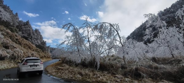 #霧淞 #雲海 #雲瀑 #霧虹 #太平山 #望洋山 #觀雲步道 #翠峰道路  2/82995250