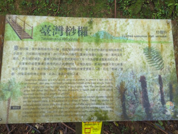 2026.03.08－微笑山線：【二格山系】銀河洞越嶺段&貓空纜車3014650