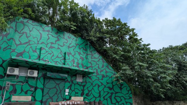 20250629大湳森林公園好所在2823585