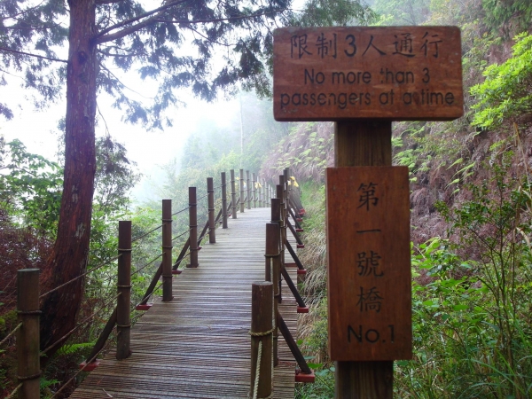 太平山之翠峰湖觀景環山步道44268