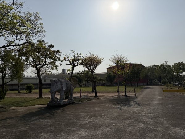 2026_0307 高雄田寮元辰殿3016338