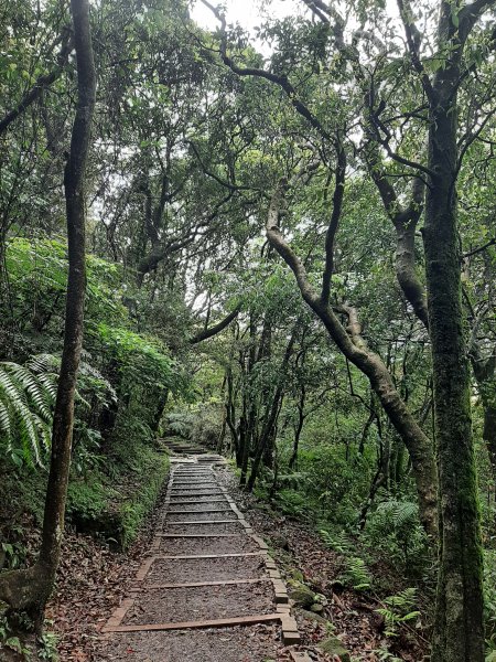 110 年春 登七星山1345736