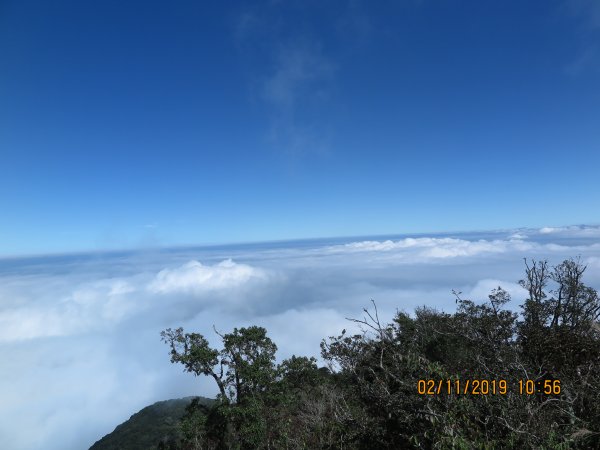 加里山雲海美景725089