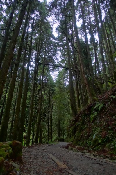 1090423鼓山出動特富野941142