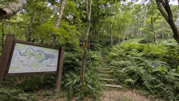 115.05.23枕頭山-枕頭山西峰-薑母島之旅3061271