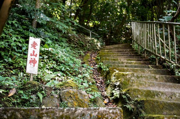 台北大縱走第六+第七段3048819