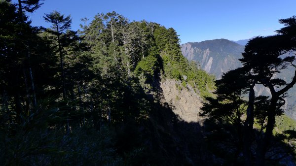 大好天氣的奇萊東稜488993