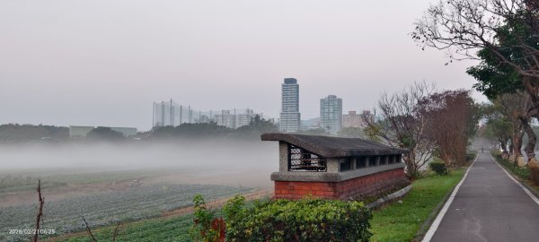 #觀音山 #夕陽 #夜景 #林梢步道 #關渡平原 #輻射霧  2/213003236