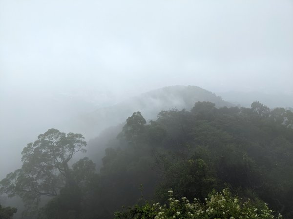 龍延宮天上山1893048