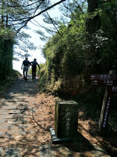 2018.03.17 郡大山麟趾山特富野290733