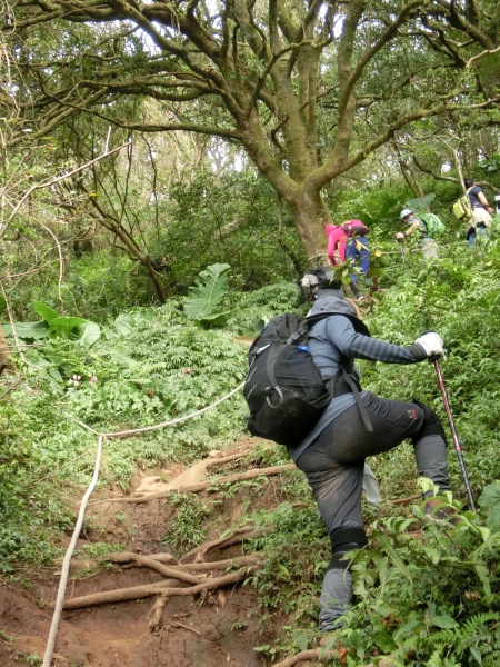 大屯山西峰．南峰．大屯坪94827