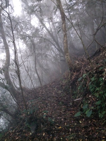 小百岳:初音山1609918