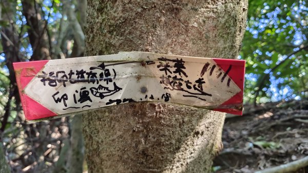 貢寮區三貂角燈塔+萊萊越嶺古道+萊萊山+萊萊三叉峰+吳家古厝+舊草嶺隧道北口+福隆車站3001133