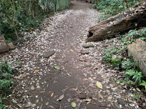 20210503 石門山1372400