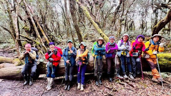 🌈4/13（日）（三）魔法森林-塔曼山~FB：熊熊趴爬走🌈2761324