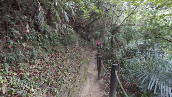 獅山步道214603